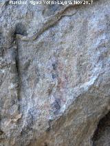 Pinturas rupestres de la Cueva de la Graja-Grupo VII. Restos de lneas en zig zag inferiores y zooformo, muy desvados