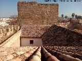 Castillo de Lopera. Torre de Santa Mara. Desde los tejados del alczar