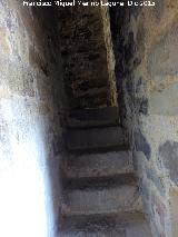 Castillo de Lopera. Torre de San Miguel. Escaleras