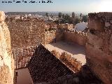 Castillo de Lopera. Torre de San Miguel. Vistas