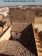 Castillo de Lopera. Torre de San Miguel. Vistas