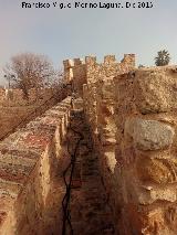 Castillo de Lopera. Torren Noreste. 