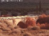 Puente de las Cabras