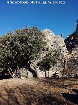 Casa Cueva de la Roca. 