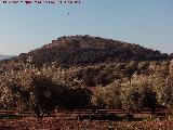 Cerro de los Lobos