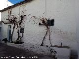 Casa tpica de Ribera Alta