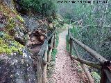 Mirador del Charco de la Pringue. Sendero