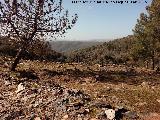 Camino de las Minas. Vistas