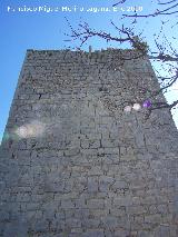 Castillo de Otiar. Torre del Homenaje. Lado Sur con su matacn