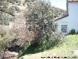 Molino de la Ballestera. Salida de aguas