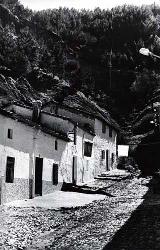 Calle Pilarejo. Foto antigua. Foto de Jacinto Mercado