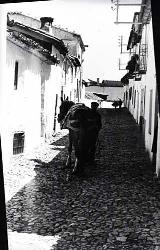 Calle Saltadero. Foto antigua. Foto de Jacinto Mercado