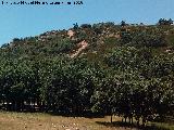 Cerro de la Estrella. Cumbre