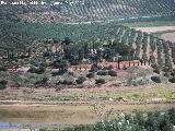 Cortijo del Cerrillo