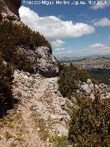 Camino de herradura de Pinar Negro. 