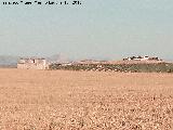 Cortijo de Andujilla. Al fondo a la derecha Torre de Alczar