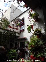 Casa de la Calle Mariano Amaya n 4. Patio