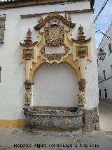 Fuente de la Piedra Escrita