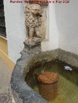 Fuente de la Piedra Escrita. Len izquierdo