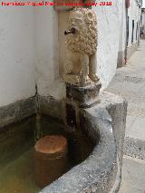 Fuente de la Piedra Escrita. Len derecho