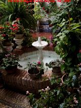 Casa de la Calle Maese Luis n 9. Fuente