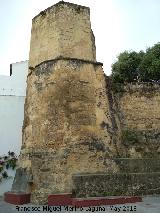 Torre de la Puerta del Rincn. 