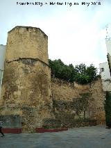 Torre de la Puerta del Rincn