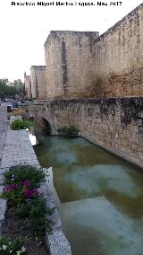 Muralla de la Calle Cairun. 