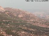 Cerro de la Magdalena. Desde la ladera norte del Rayal