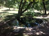 Fuente Circular de Caada de las Fuentes