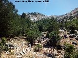 Barranco de la Caada de las Fuentes. 