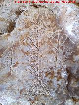 Eremitorio de la Cueva de las Cruces. Grabado vegetal