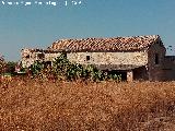 Cortijo Nio Piedras. 