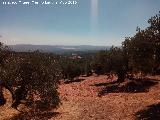 Camino de las Ollas. Vistas