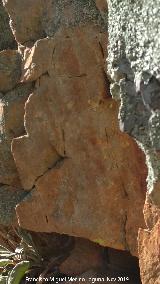 Pinturas rupestres del Cimbarrillo de Mara Antonia I. 
