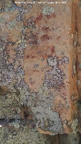 Pinturas rupestres del Cimbarrillo de Mara Antonia I. Parte baja del grupo II