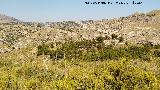 Dolmen XI. Cerro en d�nde se encuentra