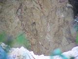 Pinturas rupestres de la Cueva del Sureste del Canjorro. Parte baja de la figura mayor