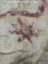 Pinturas rupestres de la Cueva del Sureste del Canjorro. Estrella
