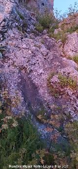 Pinturas rupestres de la Cueva de los Molinos. Tobog�n de acceso