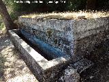 Fuente Grande del Collado del Pocico. 