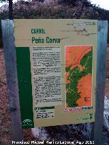 Sendero Pea Corva. Cartel