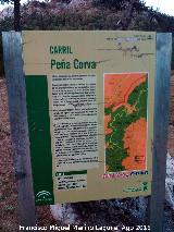 Sendero Pea Corva