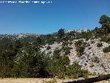 Mirador Camino del Blanquillo. Vistas