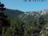 Collado de los Muertos. Desde el Mirador Camino del Blanquillo