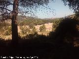 Fuente del Pino. Cortijo desde la fuente