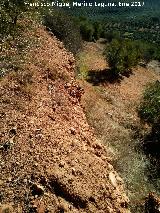 Castillo de Bujalam. Lnea de muralla