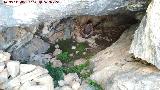 Cueva del Toro
