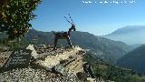 Barranco del Poqueira