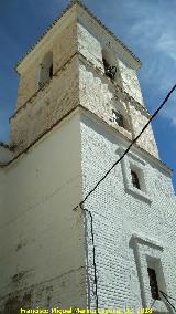 Iglesia de Santa Mara la Mayor. Campanario